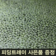 부상수초 좀개구리밥 부평초 [100뿌리] 부상수초홀더 어항부상수초 구피부상수초, 100개