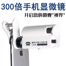 주사전자현미경