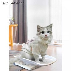 Faith Gathering 고양이체중계 몸무게 저울 애견 측정, 1개, 상세페이지 참고, 화이트(대형 애완동물 모델)