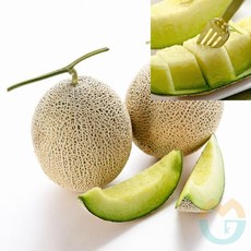 고당도머스크멜론