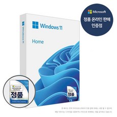 마이크로소프트 Windows 11 Home (FPP/한글/USB)