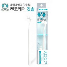 펫데이즈미묘