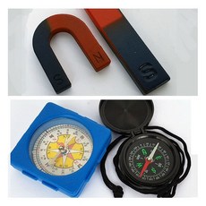 IQPLUS 과학학습교재, 1개, 칼라나무박자 양면파랑
