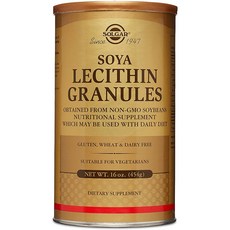 Solgar 레시틴 과립제 (Granules) 454g, 1세트, 단일용량
