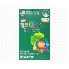 은행잎추출물 코엔자임 Q10 기억력 혈행건강 두뇌건강 일양약품 징코큐텐 플러스 30캡슐, 30정, 1개