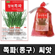 쪽파 쪽파씨앗 쪽파종구 200g 국산