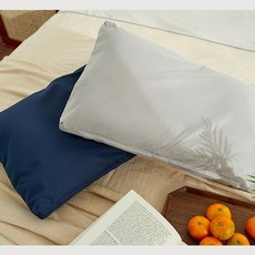 밸런스온다리베개