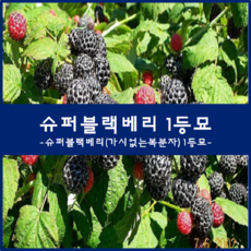 97acb3568f68e6b320952372a6bdfcd84284a3d73799535d1c07f28b35be.png