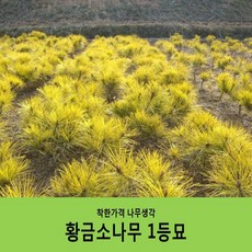 0a2aaf0ff8560593085f819b42f11c3072c6c6a34c73700f28e60b1ae1b6.jpg