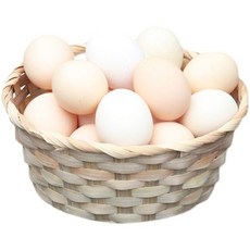 인터폰라탄가리개