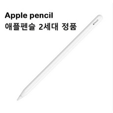 애플펜슬 2세대 국내 정품 중고 펜슬 단품 아이패드 펜슬 Pencil 2nd MU8F2KH/A, 1개, 1개