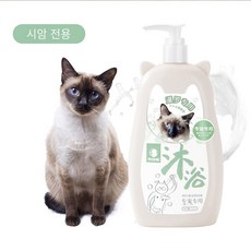방콕더시암
