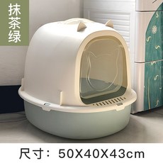 반트365올인원