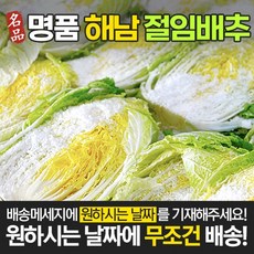 전라도청년 해남 절임배추 20kg 필수추가정보 꼭 입력해주세요