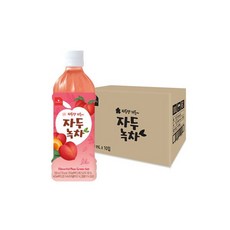 자두녹차