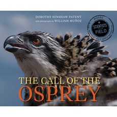 Call of the Osprey Paperback, Houghton Mifflin
