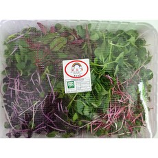 베이비채소 500g 여린잎 어린순, 1개