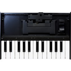 미국출발 Roland K-25M 부티크 모듈 독 USB MIDI 키보드 12인치