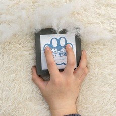 PG 먼지제거기 쓱펀지 털제거기, 1개