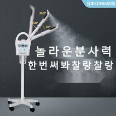 미용실 피부샵 스팀기 얼굴 머리 헤어 모공 스파 스티머 안개 미스트 기계, D