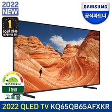 삼성qledtv65인치