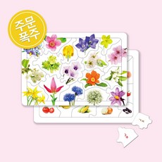 인지향상퍼즐