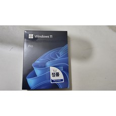 Windows 윈도우11 프로페셔널 Pro 한글 정품 FPP USB