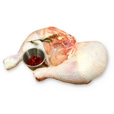 양통다리