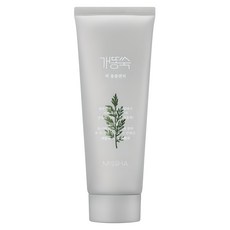 미샤 개똥쑥 팩 폼 클렌저, 150ml, 1개 1개, 150ml