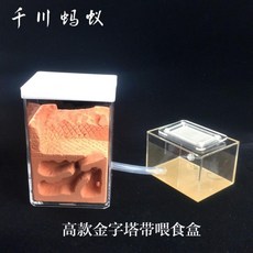 5198446aaf0a60c22bc3466d654a1afb6eca3cad8e106778ed1ce2d32c11.jpg