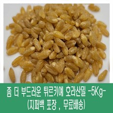 [다온농산] 좀 더 부드러운 수입 튀르키예 호라산밀 -5Kg- 강력추천!, 1개, 5kg