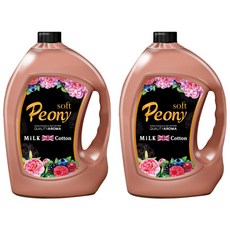 아로마피츠토니피앙