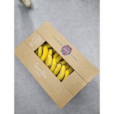 고당도 낱발 못난이 가정용 바나나, 1개, 6kg