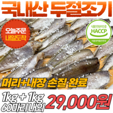 반건조두절파조기