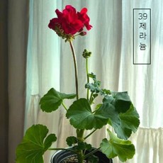 d8e5f987ee05e9abdcb802c8f5cfaa87fc4dda847d36e5481652209be71f.jpg