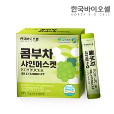 shine첼로