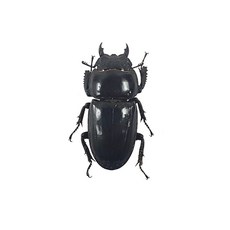 773684a8e478dbad12698514ac00499b65fc385c0351a7b6e559687e6324.jpg