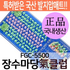 장수마당 기매트 FGC-5500 가정용 발지압매트 발마사지, 1개