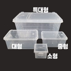 행복만물상 장수풍뎅이 파충류 사육케이스 도마뱀 곤충 사육장 소형, 1개, BH_001_소형