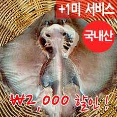 장스토어 반건조 간재미 군산항 위생건조장 직송, 2개, 03_간재미(대) 30cm내외