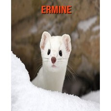 (영문도서) Ermine: Amazing Facts & Pictures Paperback, Independently Published, English, 9798518101500