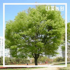 5b3cffe485272cfa40cbfaca42df4c0f62098bb3cd7e8013ada1bf5c2b24.jpg