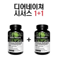 디어네이처 시서스 추출물 1000mg 120정 X 2개
