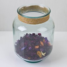 산미구엘 허리케인 화병(C-ENEA) 25cm, 스페니쉬그린