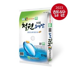 기타 [23년산 햅쌀] 동철원농협 철원오대쌀 10kg/상등급/당일도정, 1개