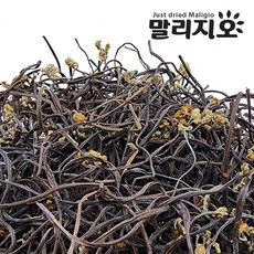 말리지오 고사리 보통 상급, 1개, 500g(보통)