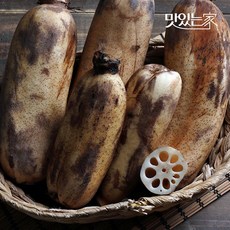 맛있는 [서안동농협] 흙 연근 알뜰 2kg, 없음, 1개
