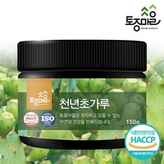 네이쳐천년초