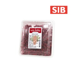 선인 레드커런트 500g, 1개