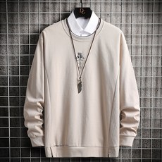 브라운6031